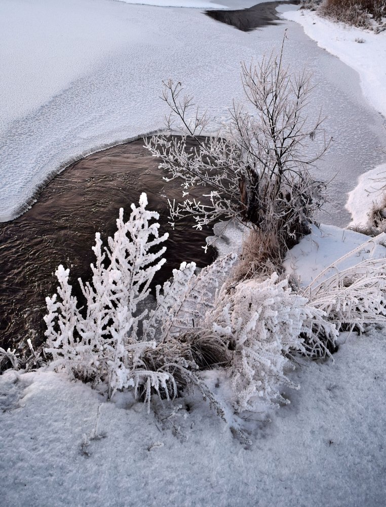 Photograph by Светлана Крат