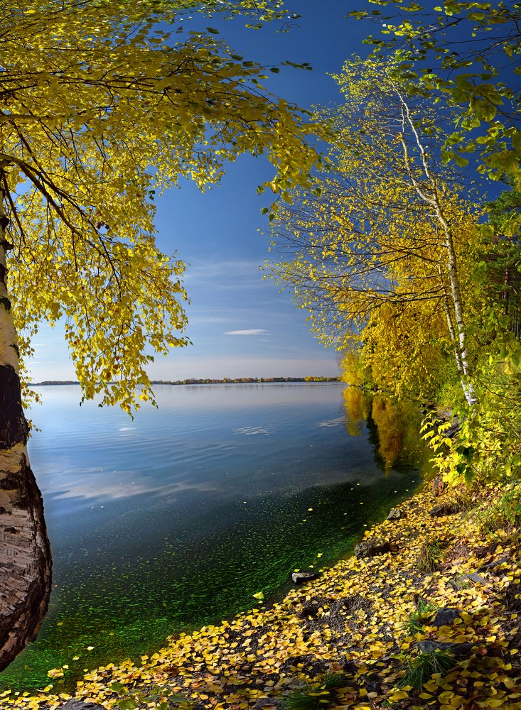 Photograph by Светлана Крат