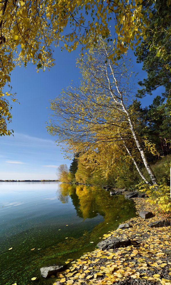 Photograph by Светлана Крат