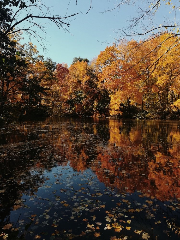 Photograph by Светлана Шибаршина