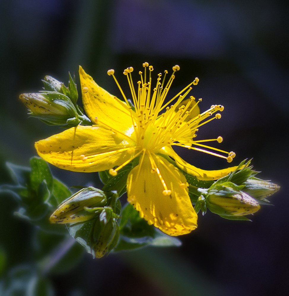 Photograph by Басалаев Евгений