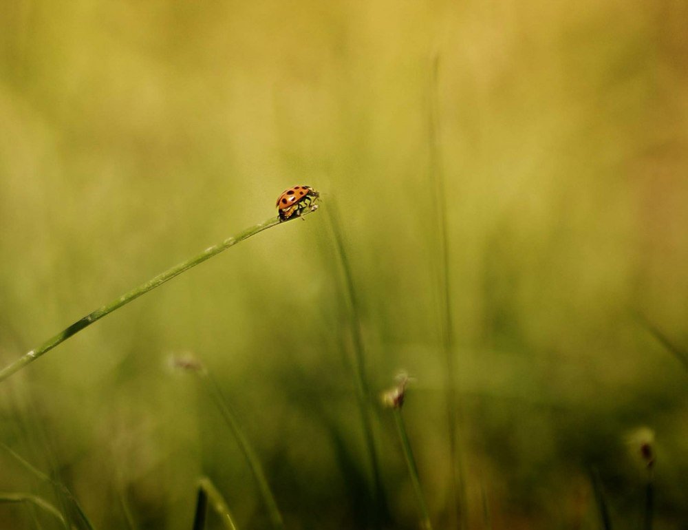 Photograph by Ольга Усманова