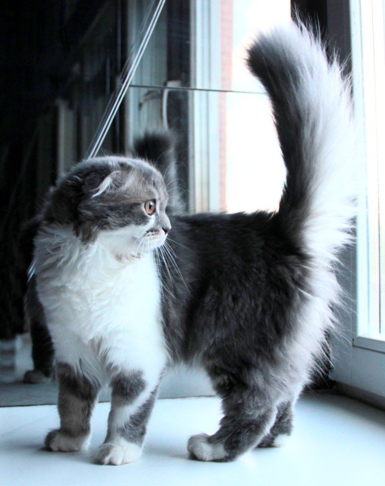 Фотография автора Мария