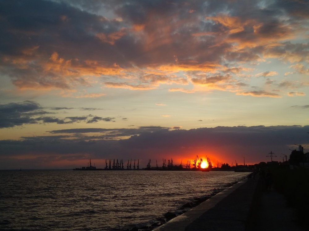 Photo #3545966