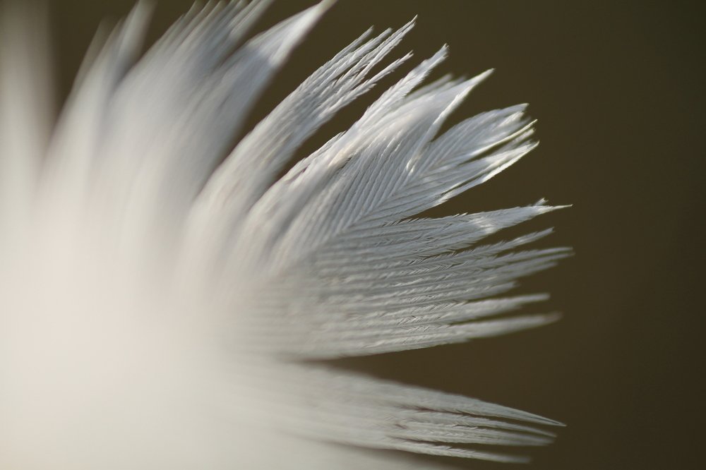 Photograph by Валерия Озтузсуз