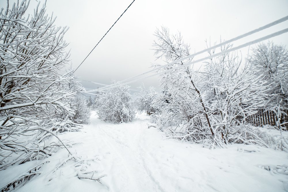 Фотография автора Татьяна Афиногенова