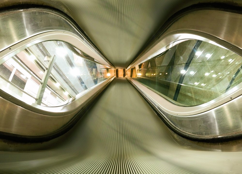 Photograph by Farshad Yazdankhah