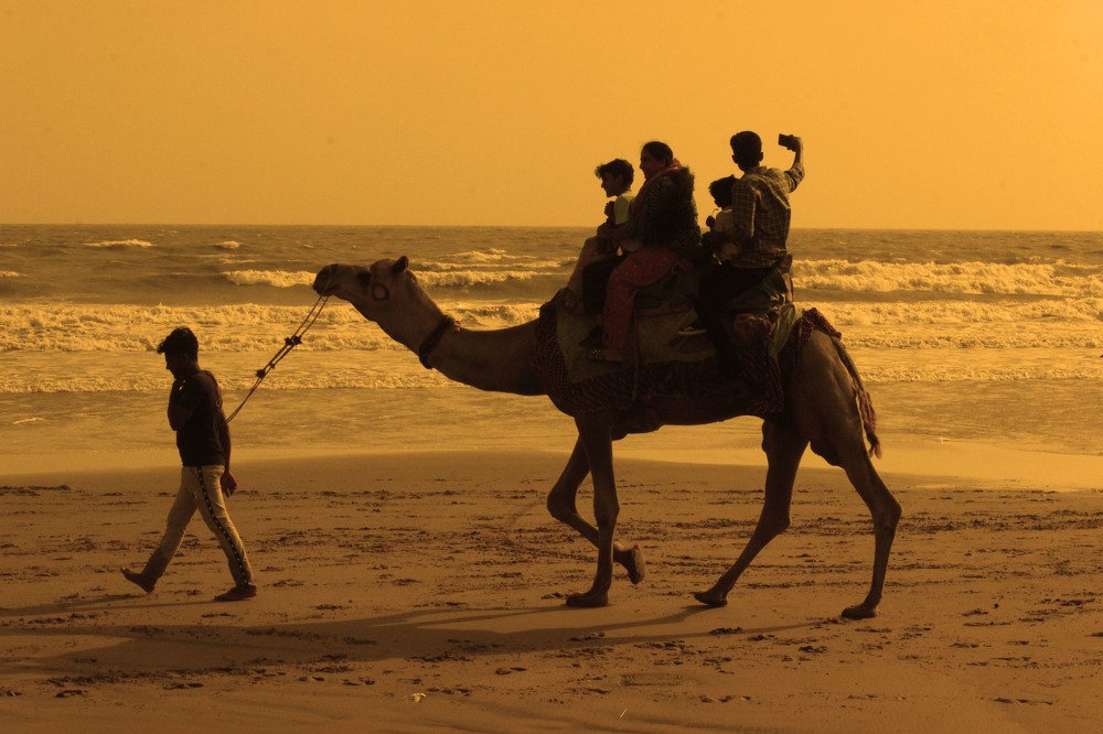 Photograph by Ashwini Solanki