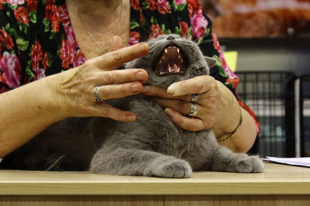 Фотография автора Мария