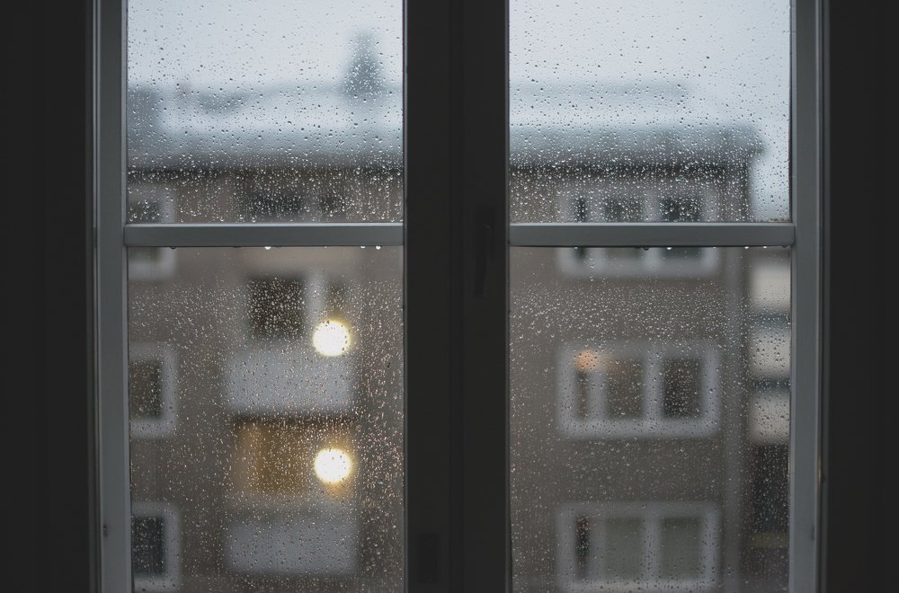 Photograph by Екатерина Мосолова