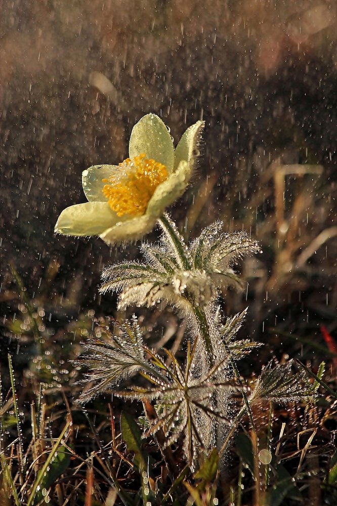 Photograph by Александр Велигура