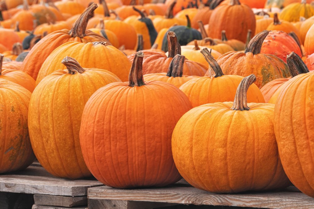 Фотография автора Andrei Hrabun