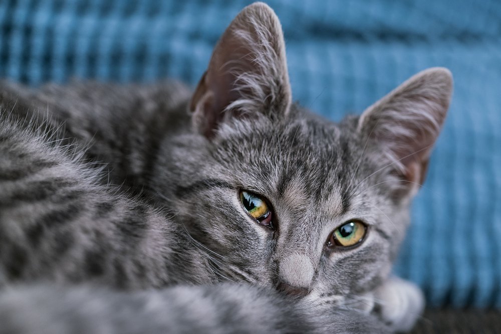 Фотография автора Andrei Hrabun