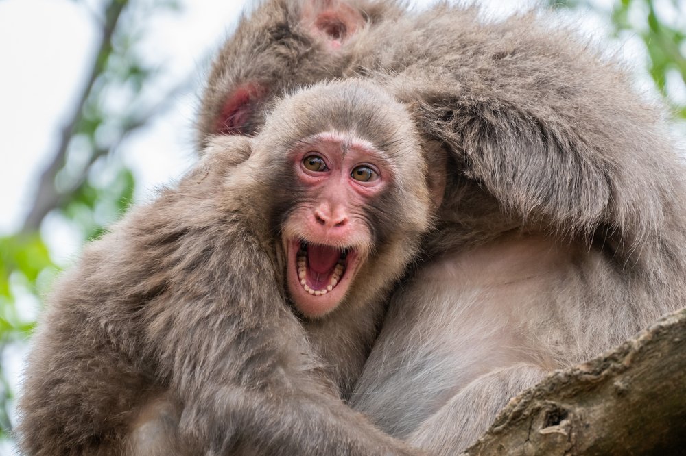 Фотография автора Andrei Hrabun