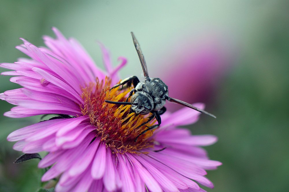 Photograph by Анастасия Сосновская