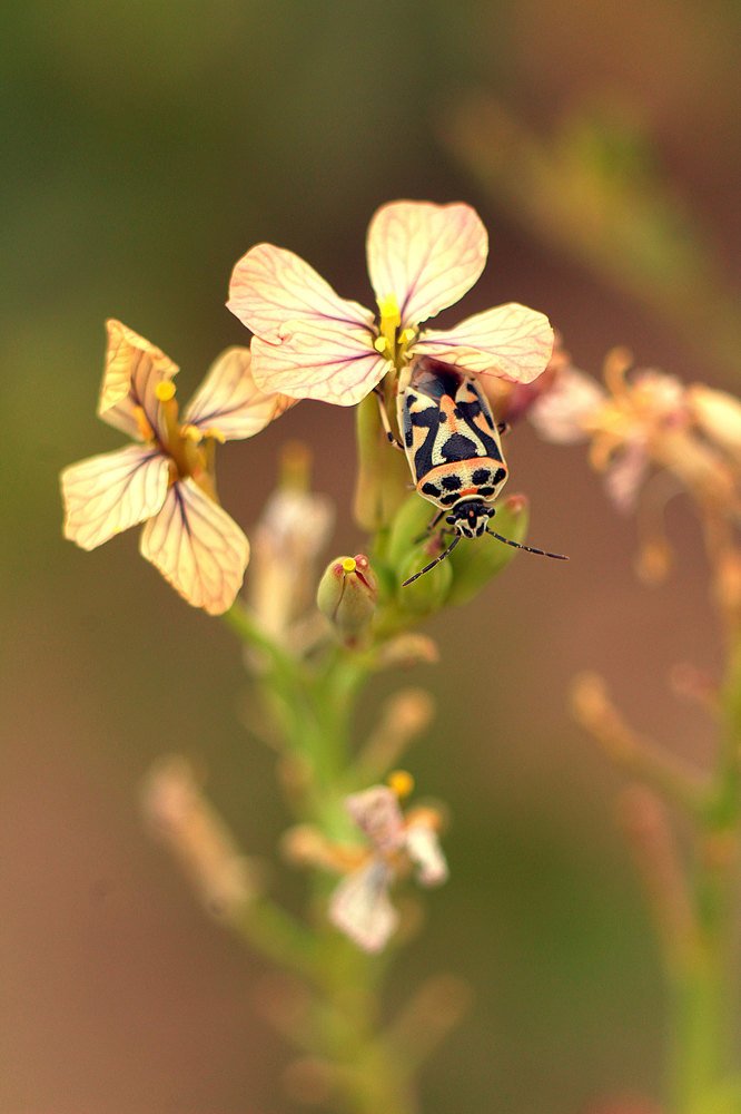 Photograph by Анастасия Сосновская