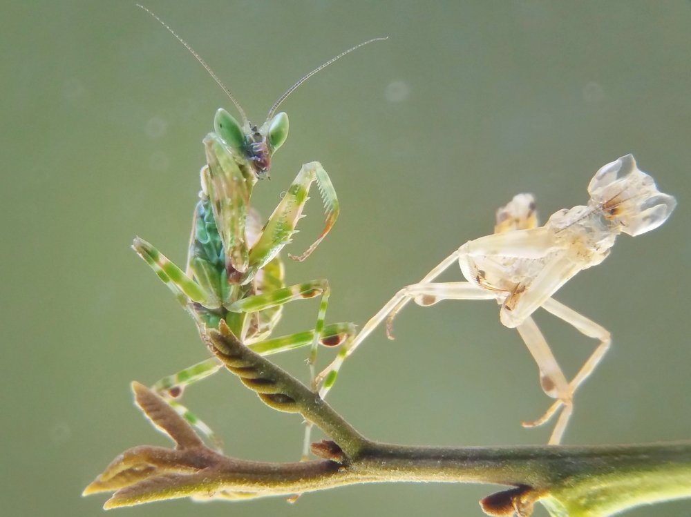 Photograph by Richu Harmoko