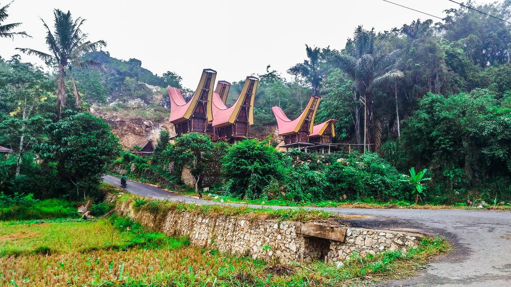 Tongkonan house