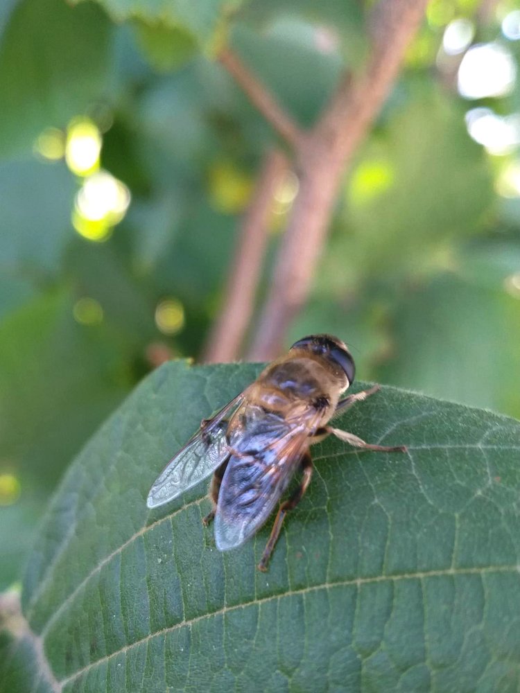 Photograph by Нина Романюк