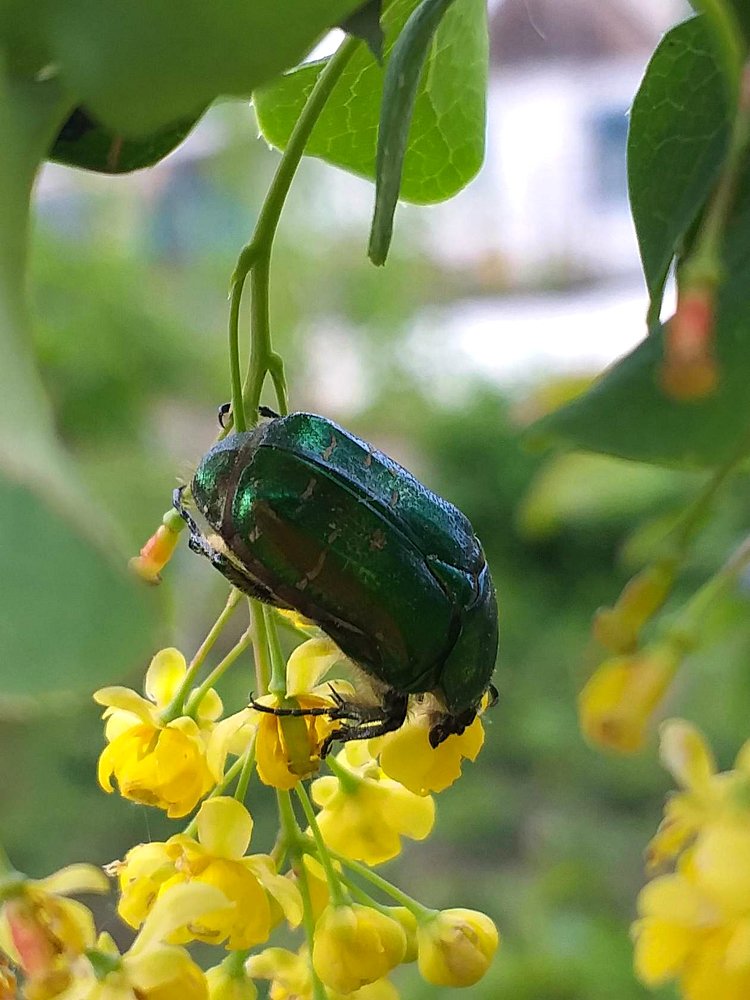 Photograph by Нина Романюк