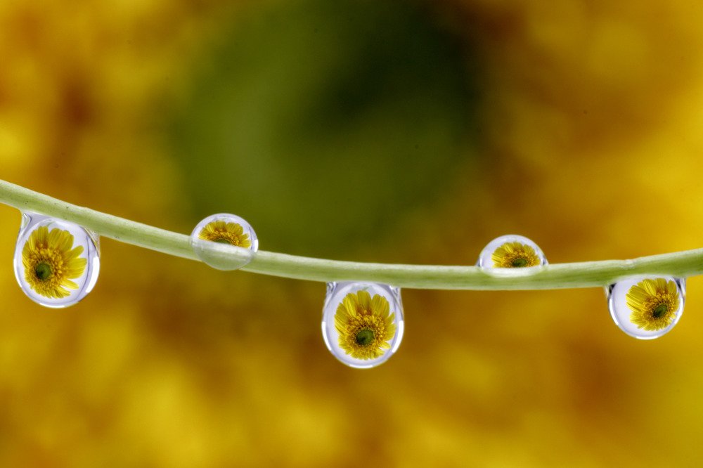 Photograph by Vishal Chandekar