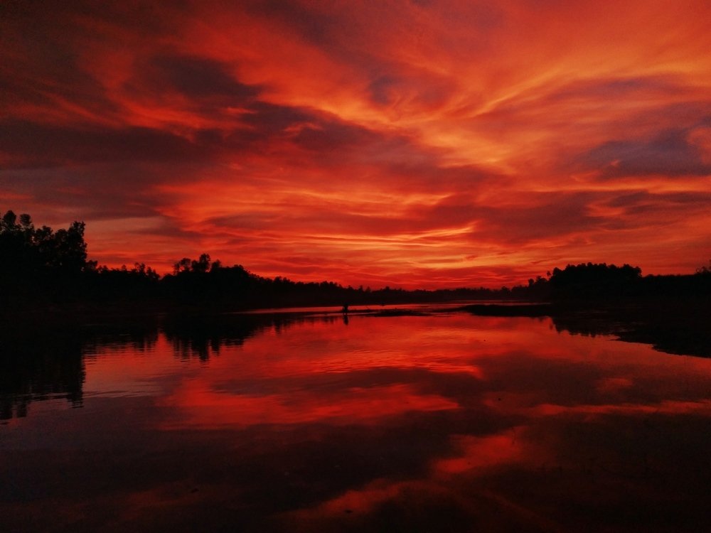 Photograph by Md Abu Sayeed Mondal