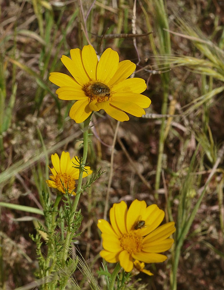 Photograph by Яков