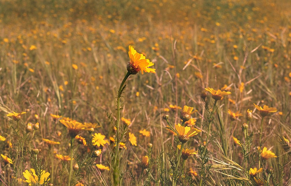 Photograph by Яков