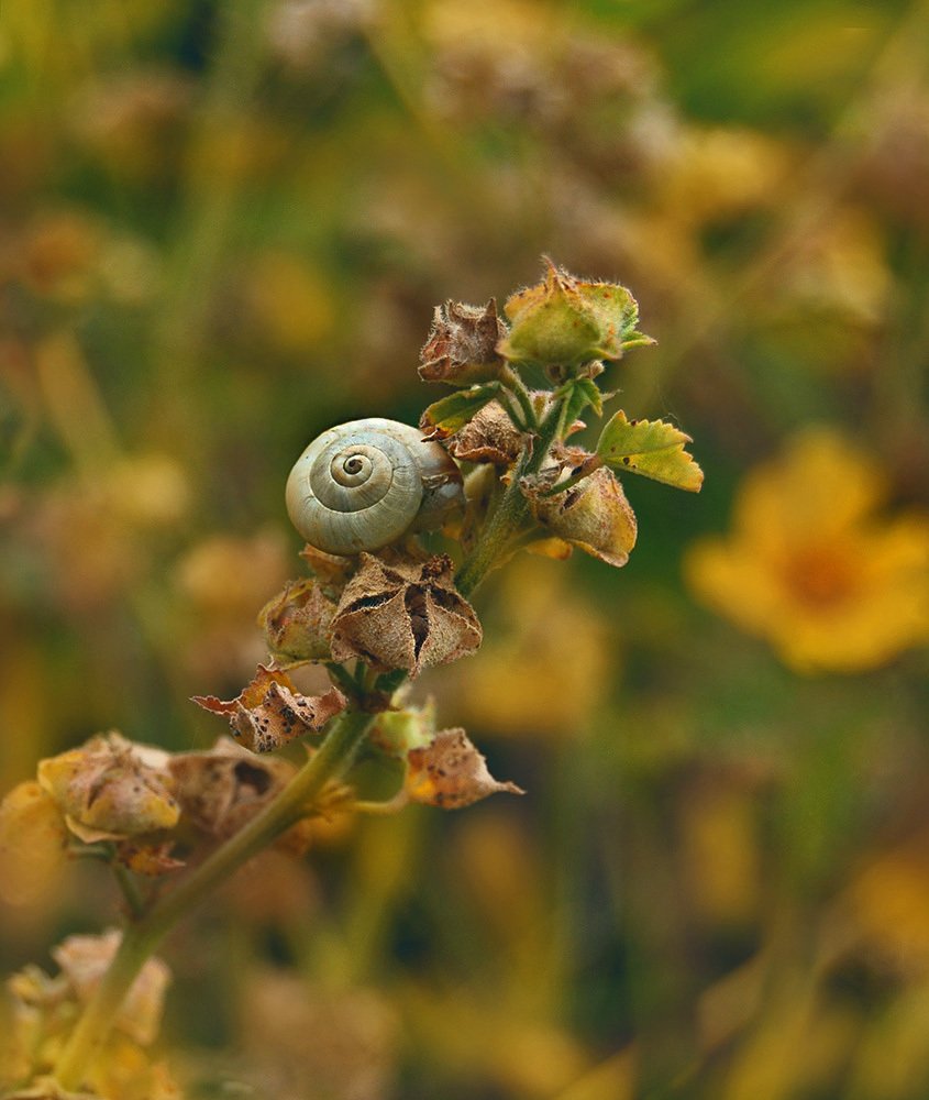 Photograph by Яков