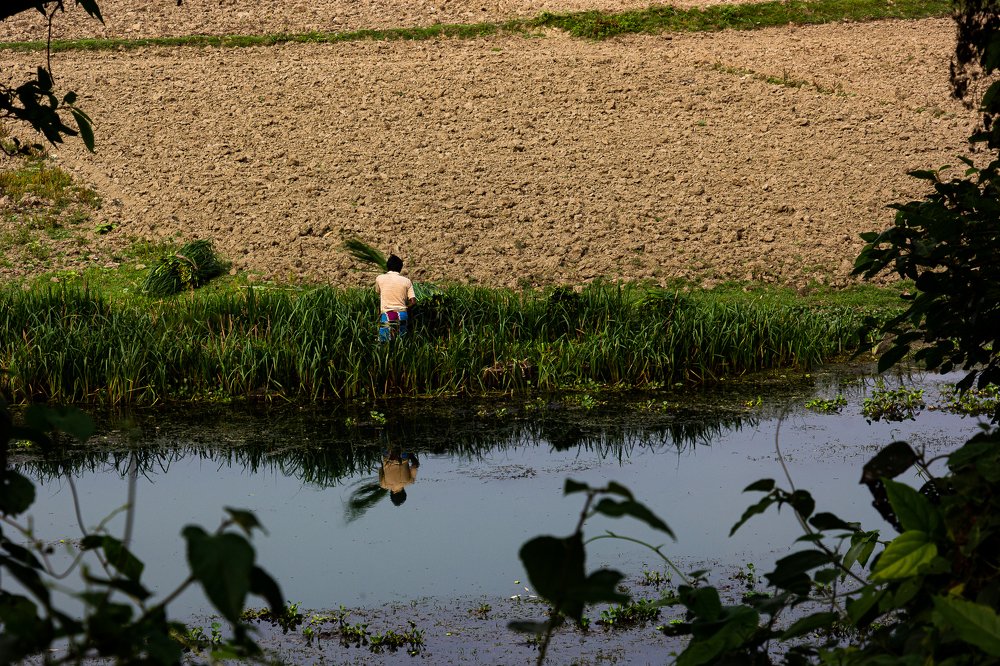 Photograph by Susobhan Biswas