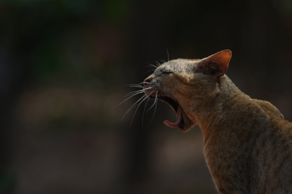 Photograph by Abhirami
