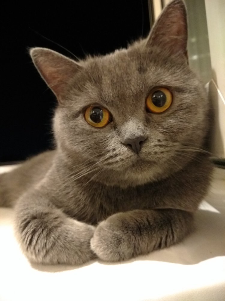 Photograph by Айгуль Даулетбакова