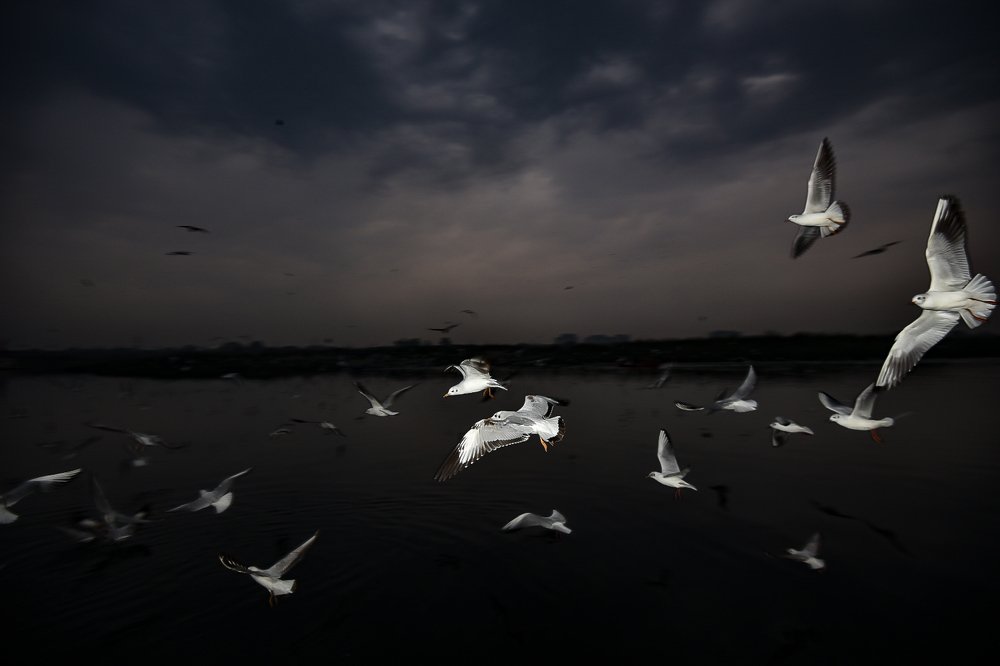 Photograph by Allen Thomas