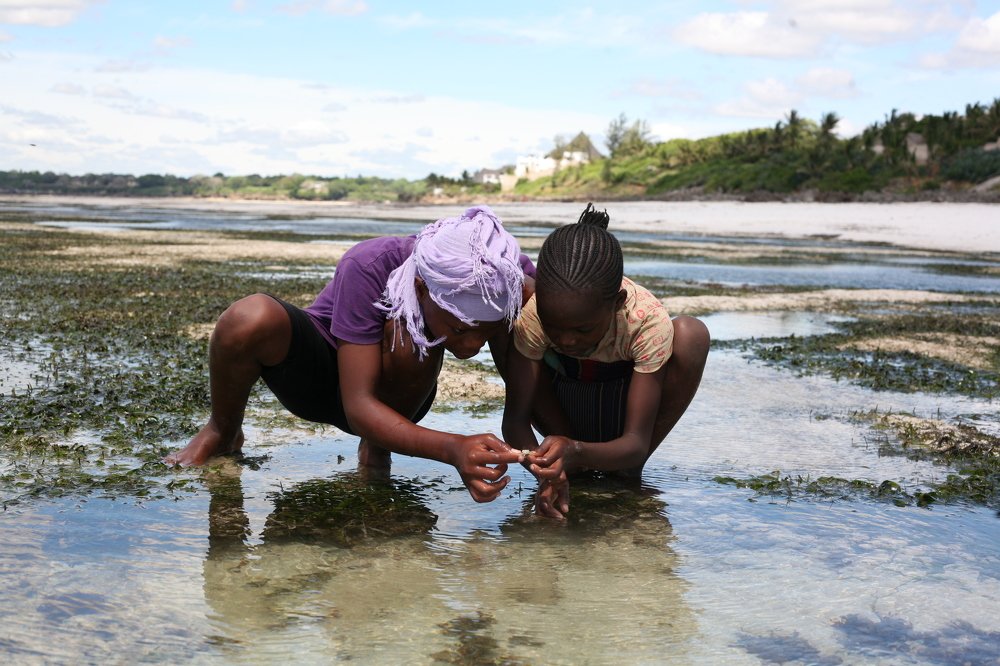 Photograph by Steven Kabuka