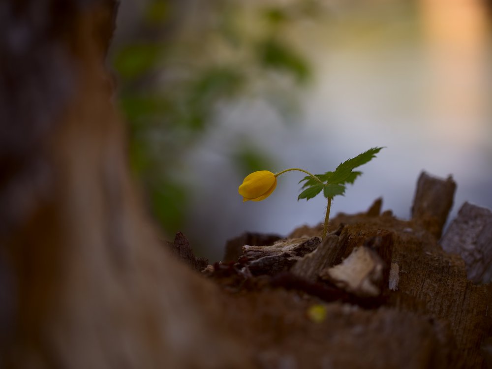 Photograph by Евгений Паршуков