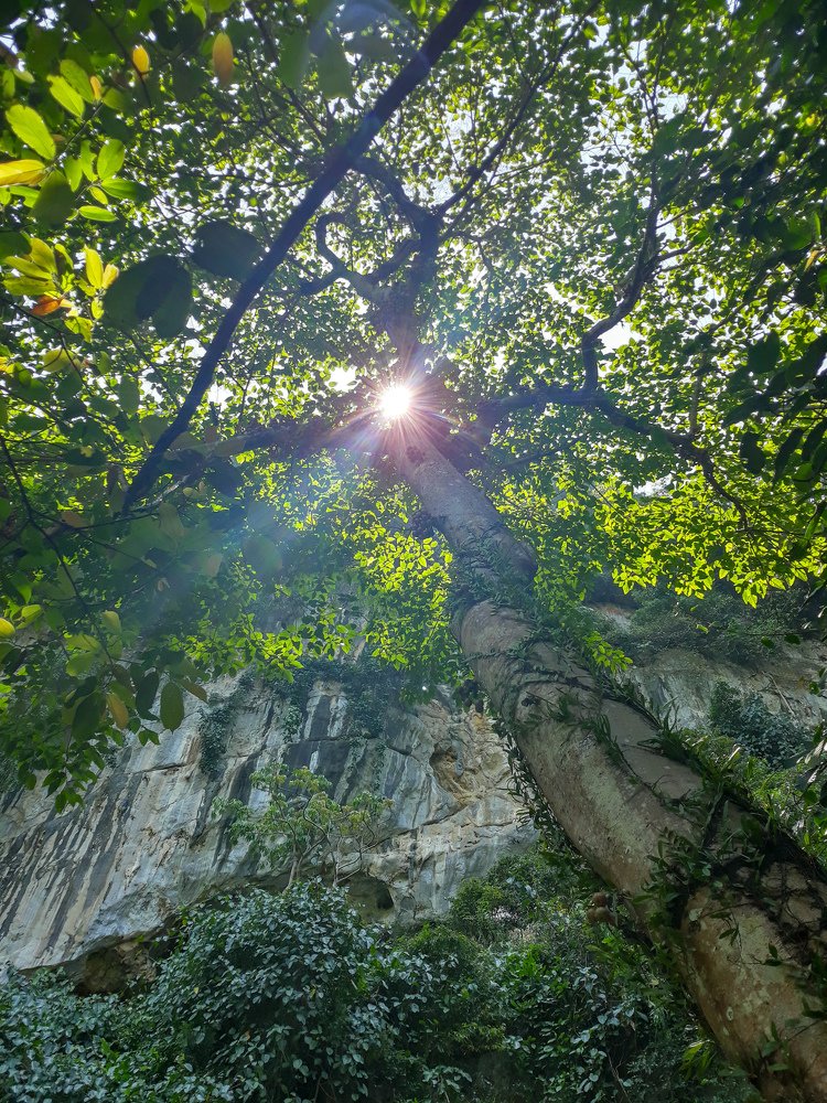 Nature blessing