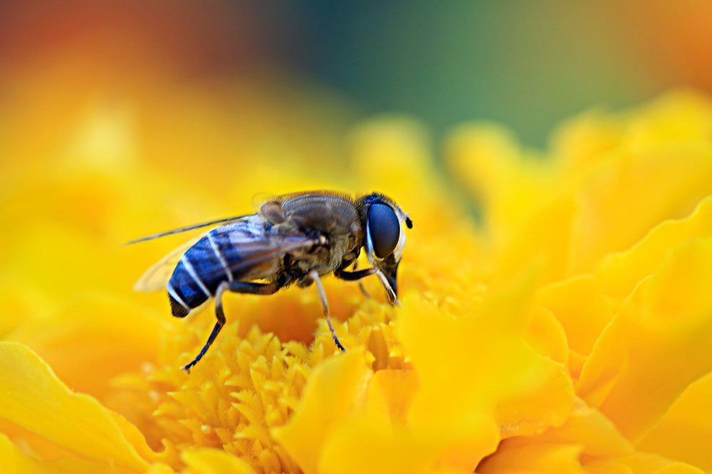 Photograph by Евгений Паршуков