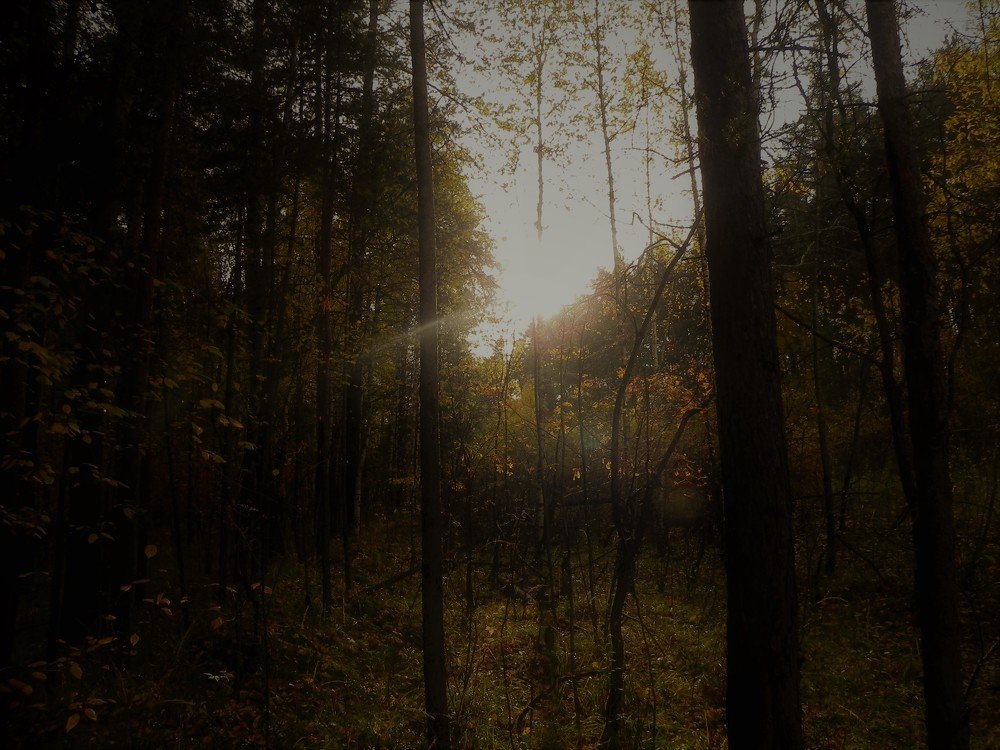 Photograph by Aristenko Evgeny