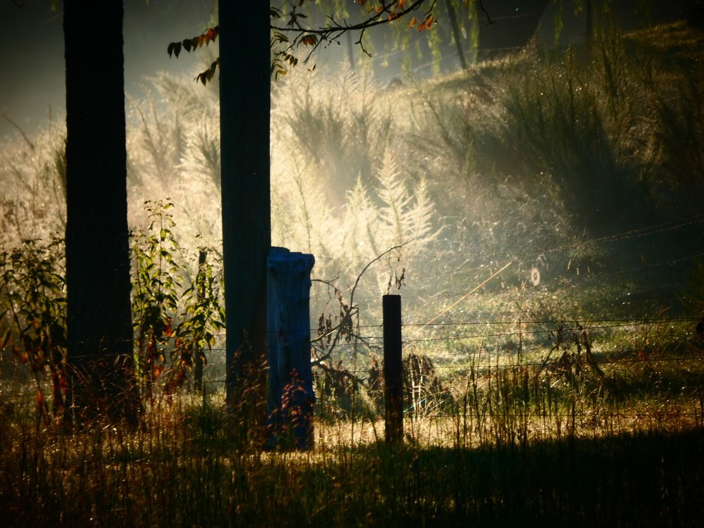 Утро туманное.