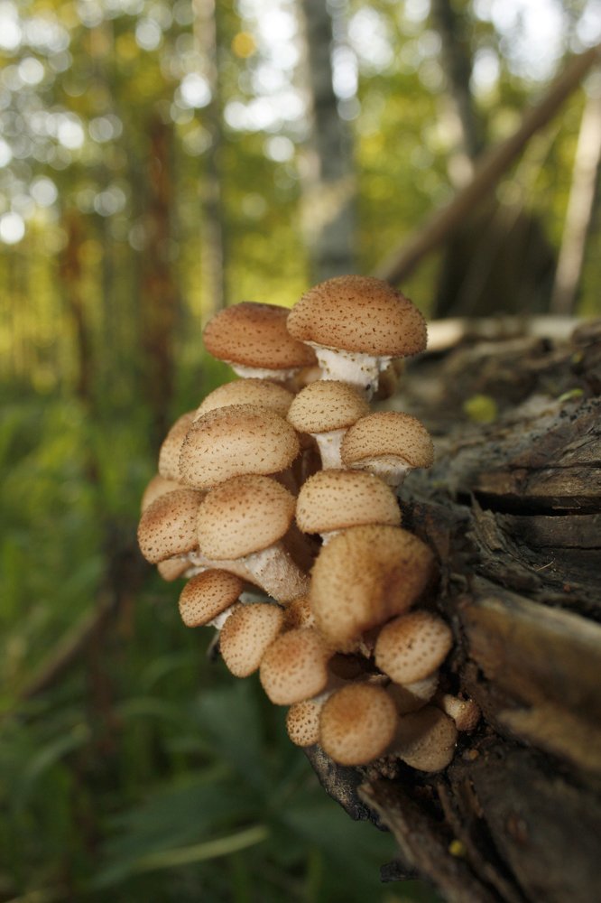 Photograph by Мария