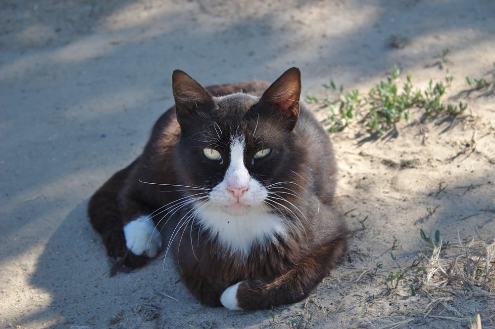 Photograph by Евгений Беленков