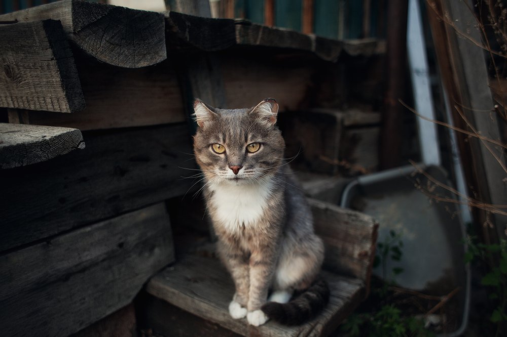 Photograph by Елена Галицкая