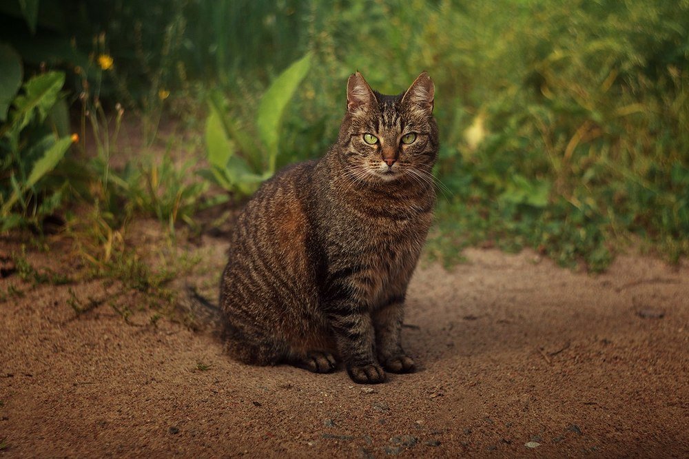 Photograph by Елена Галицкая
