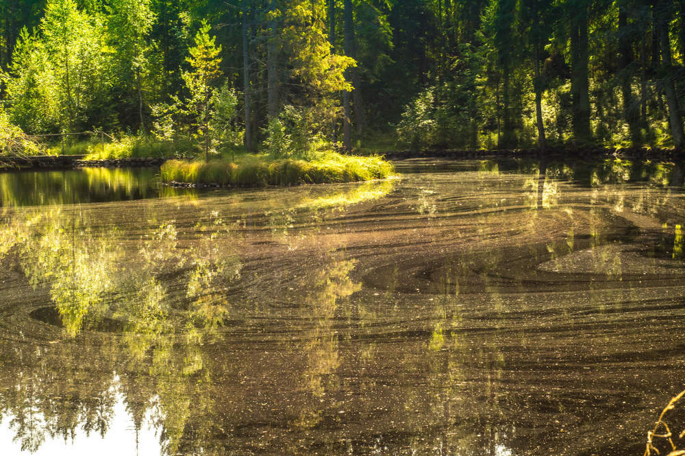 Фотография автора Юрий Цыркунов