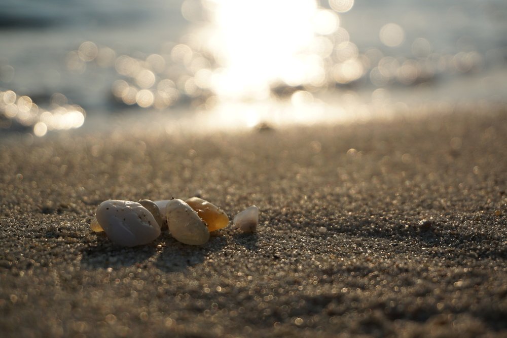 Photograph by Амелия