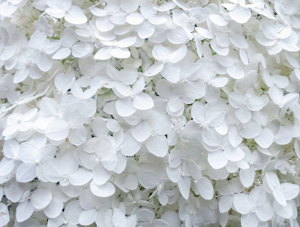 Фотография автора Людмила Прокофьева