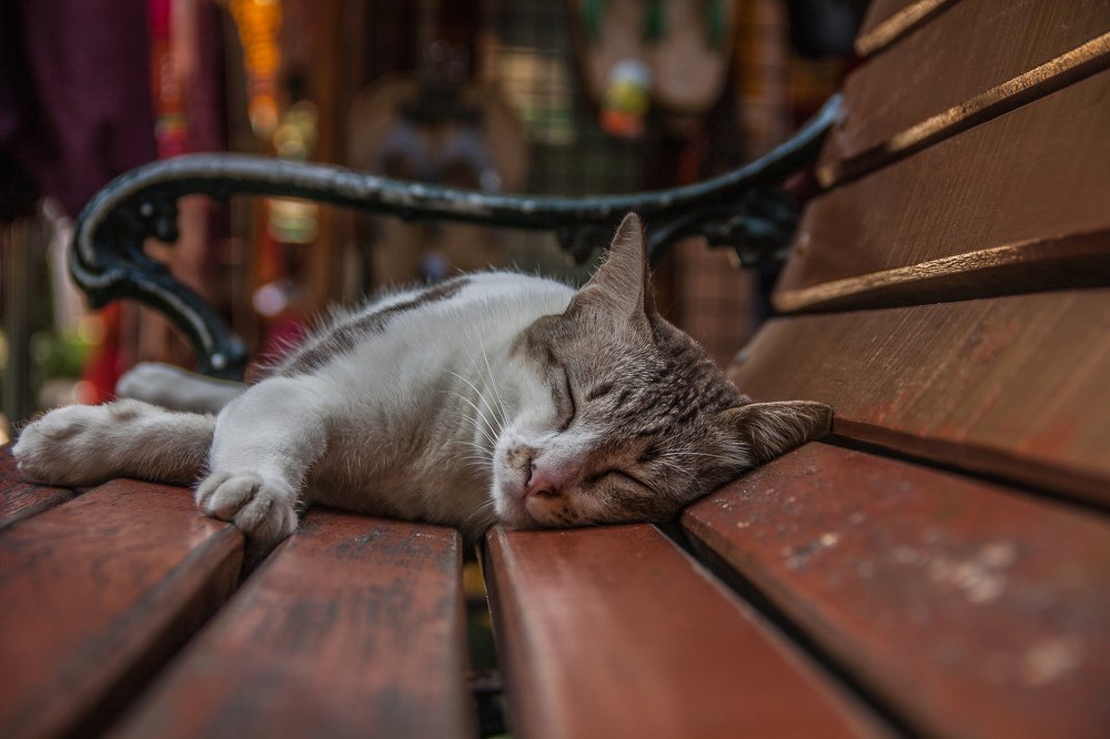 Photograph by Мария