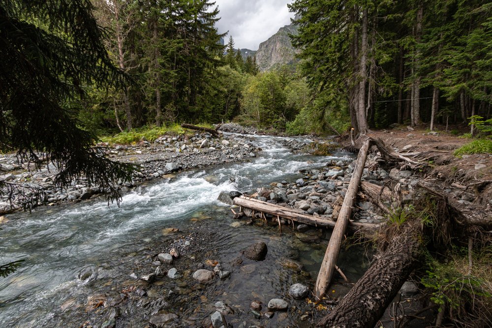 Photograph by Александр Пиленгас