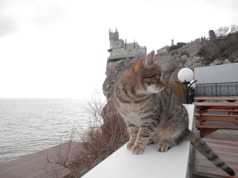 Photograph by Мария