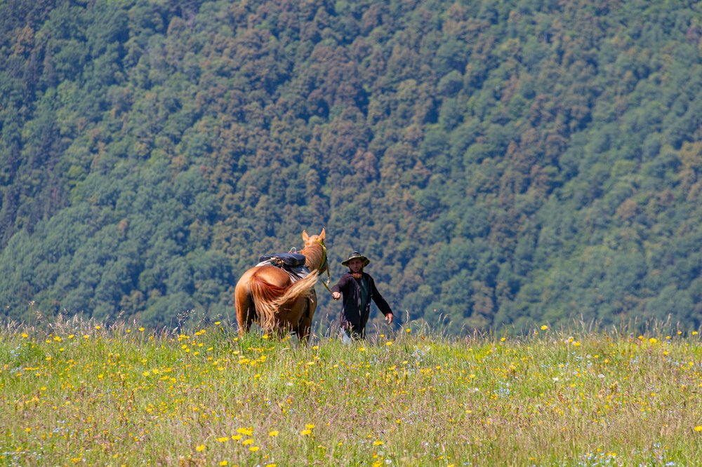 Photograph by Александр Пиленгас
